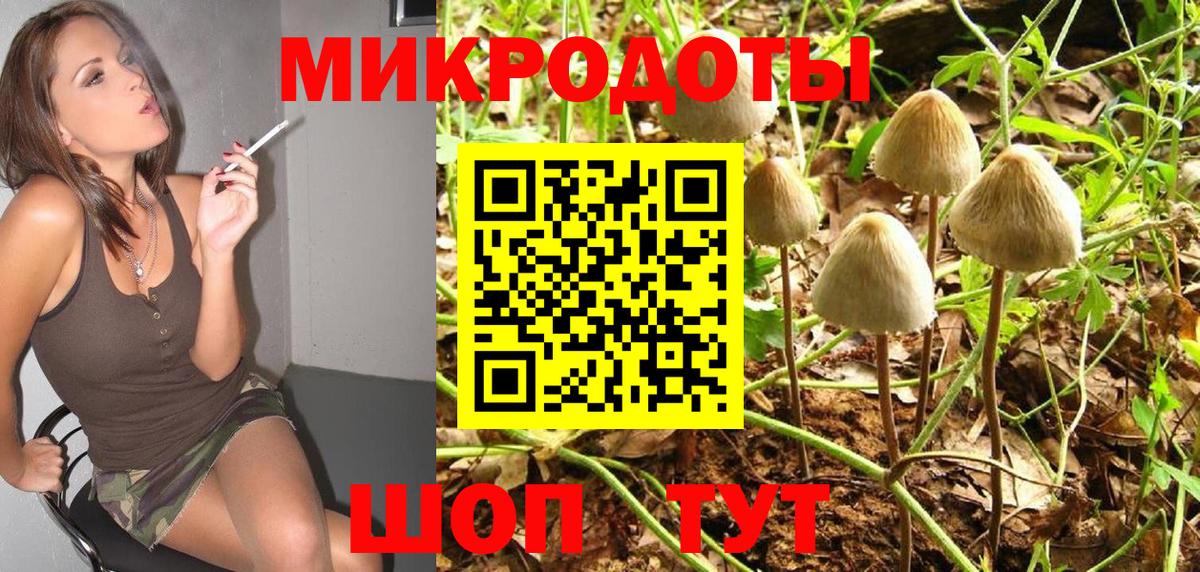 Галлюциногенные грибы мицелий  Вход с VPN  Ставрополь  Галлюциногенные грибы Magic Shrooms 
