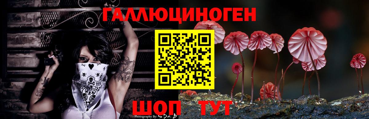 Галлюциногенные грибы мицелий Ставрополь